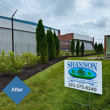 Commercial-Privacy-Planting-Project-at-Stratford-Airport 3